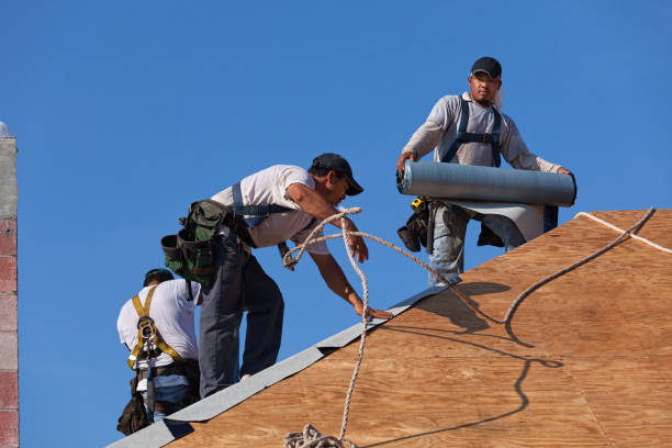 Best Emergency Roof Repair  in Blissfield, MI