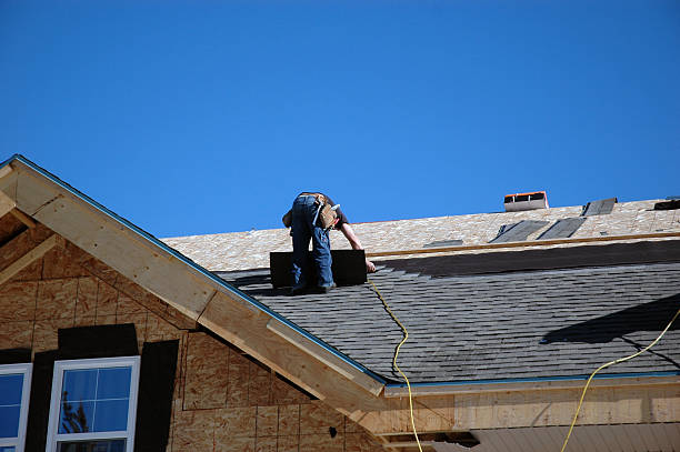 Best Shingle Roofing Installation  in Blissfield, MI