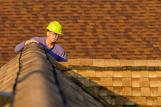 Best Best Roofing Contractors  in Blissfield, MI