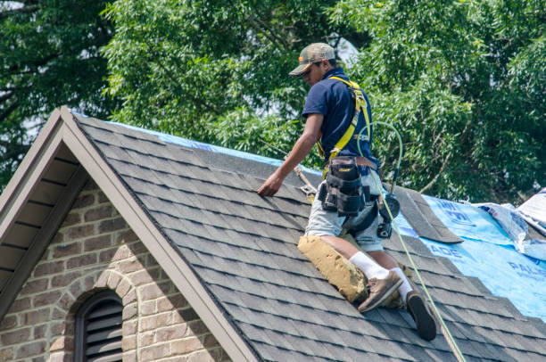 Best Roof Repair Services  in Blissfield, MI